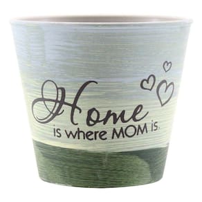 Kit 2 Mini Vasos De Planta Cachepot Estampados Decorados 11cm