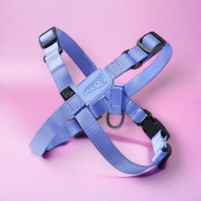 Peitoral Ajustável em X e Guia para Cães Violeta - M