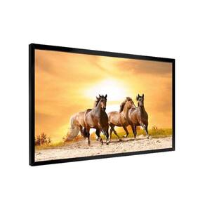 Quadro Cavalos Summer -- Br Artes