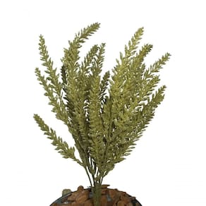 Galho Rabo De Raposa Dourado Com Glitter 38cm