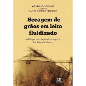 Secagem de grãos em leito fluidizado-Português