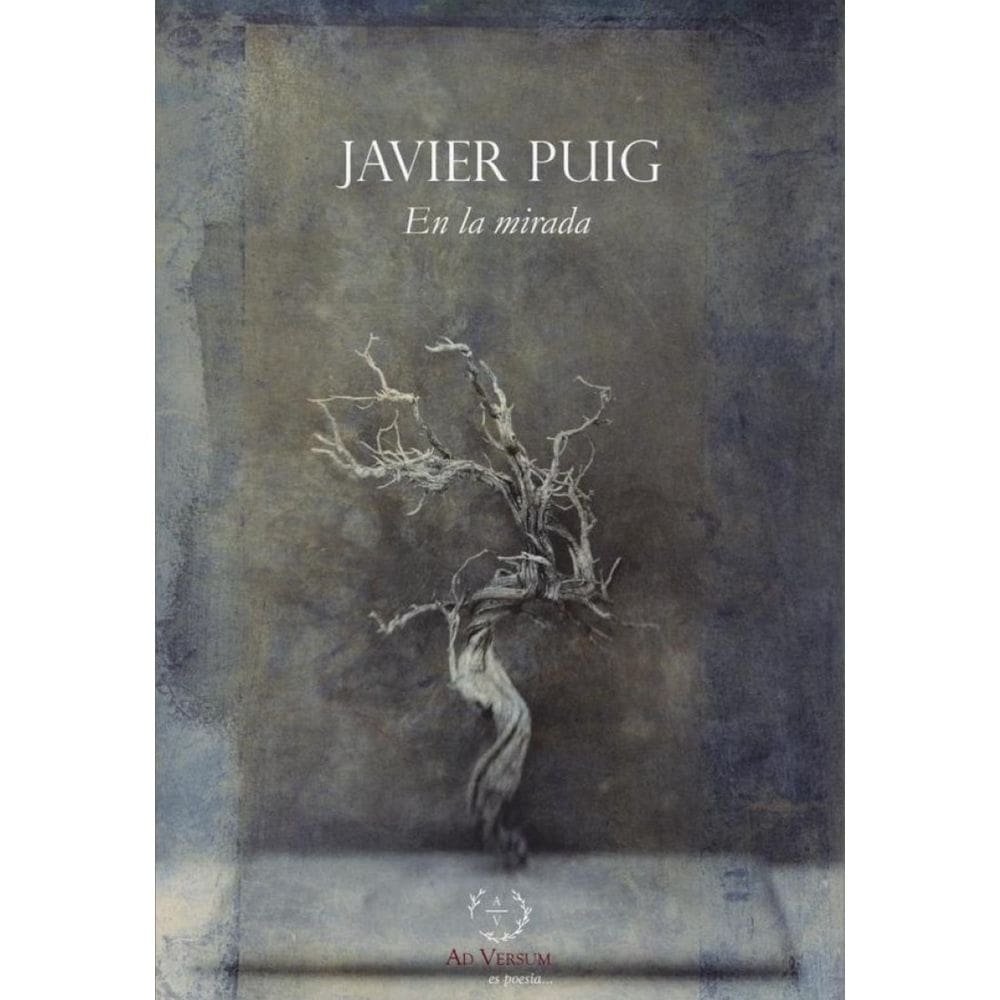 En la mirada-Espanhol