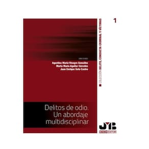 Delitos de odio. Un abordaje multidisciplinar - Espanhol