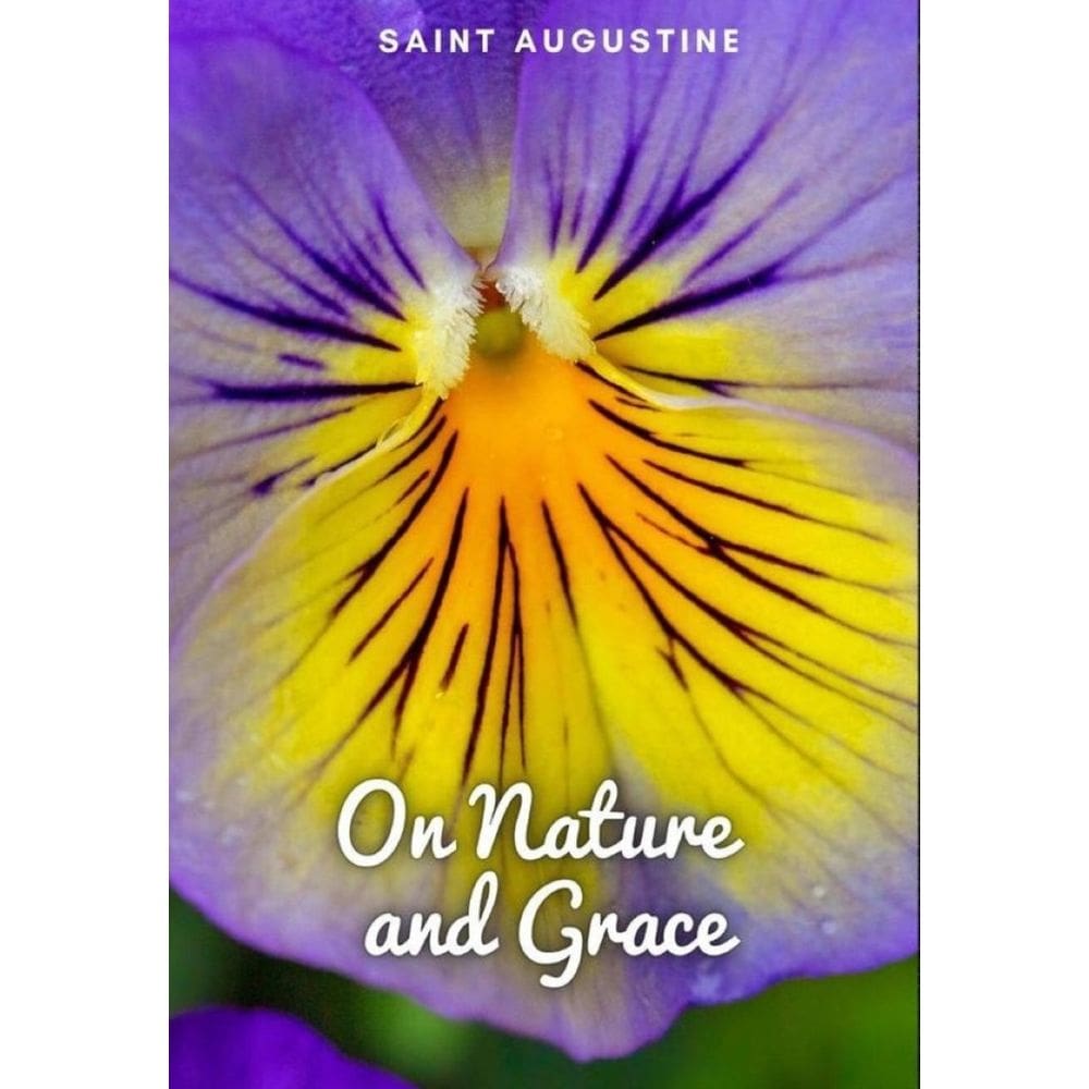 On Nature and Grace - Inglês