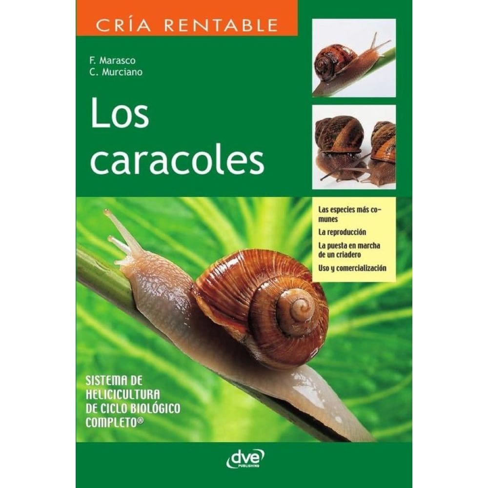 Los caracoles - Espanhol
