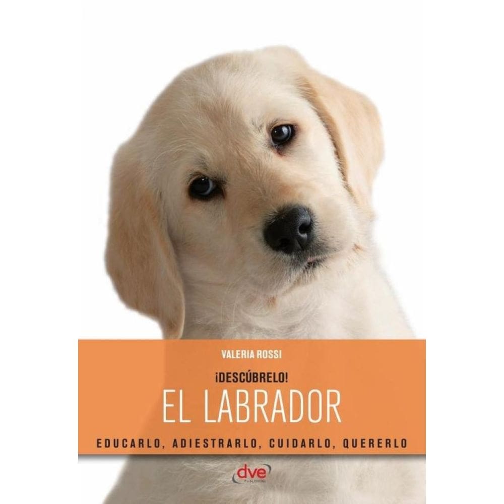 El labrador - Espanhol