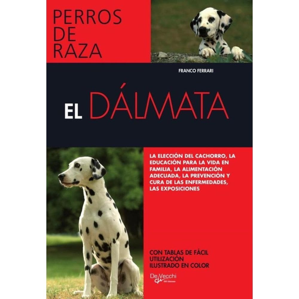 El dálmata - Espanhol