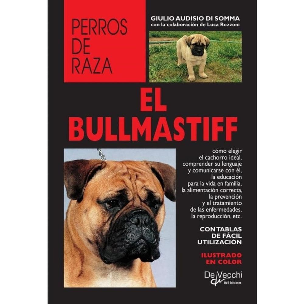 El bullmastiff  - Espanhol