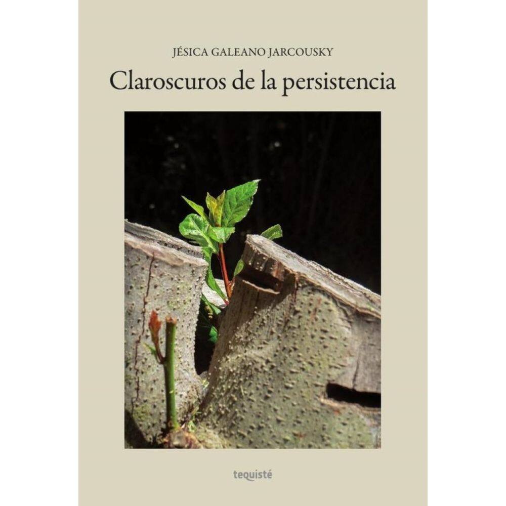 Claroscuros de la persistencia - Espanhol