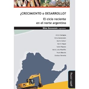 Crecimiento o desarrollo? El ciclo reciente en el norte argentino - Espanhol