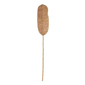 Folha Decorativa em Fibra Natural 18027 Mart