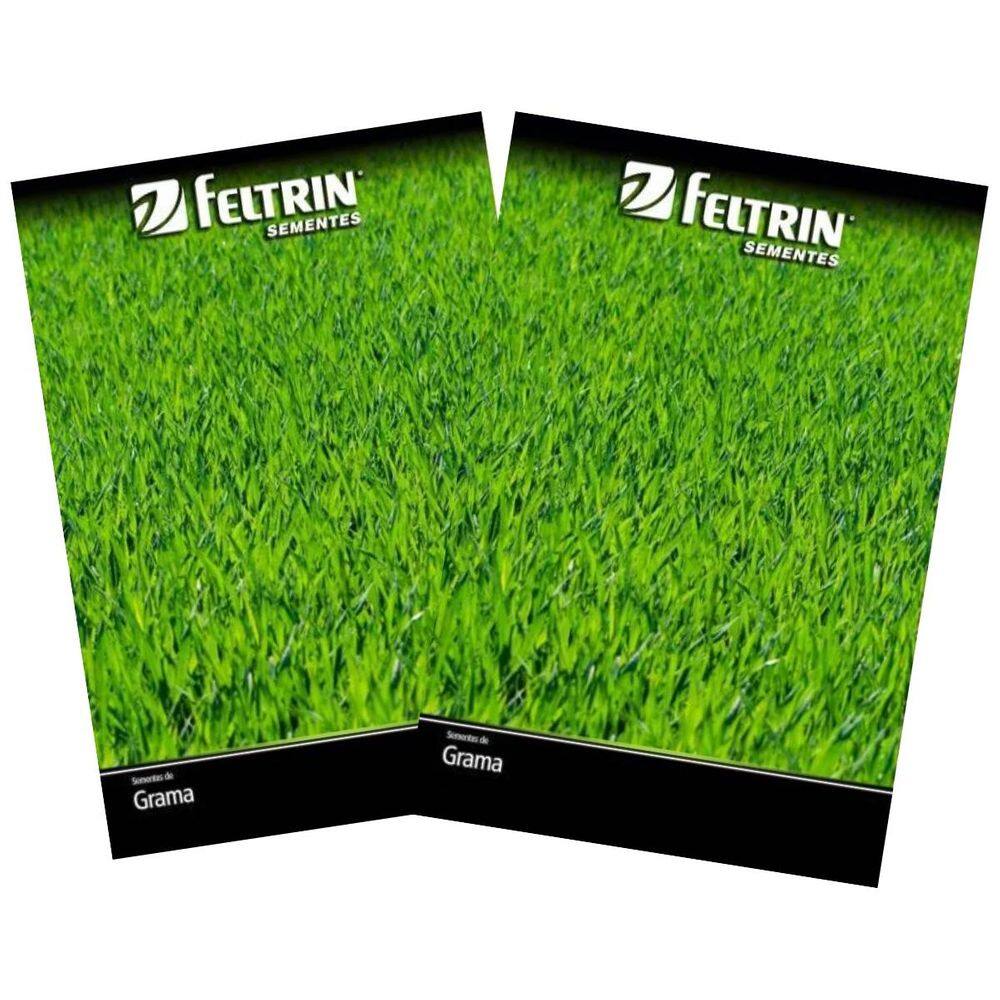 2X Sementes de Grama Jesuíta São Carlos para Jardim FELTRIN