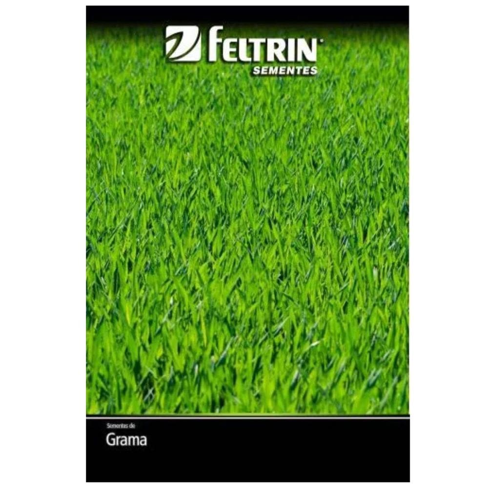 Sementes de Grama Jesuíta São Carlos para Jardim FELTRIN