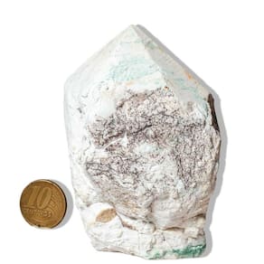 10 Jadeita Pé e Bico Serrado 400 a 500g 8 a 11cm Tipo C