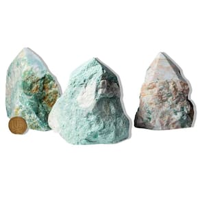 10 Jadeita Pé e Bico Serrado 300 a 400g 8 a 11cm Tipo B
