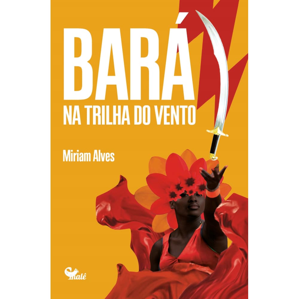 Bará: na trilha do vento