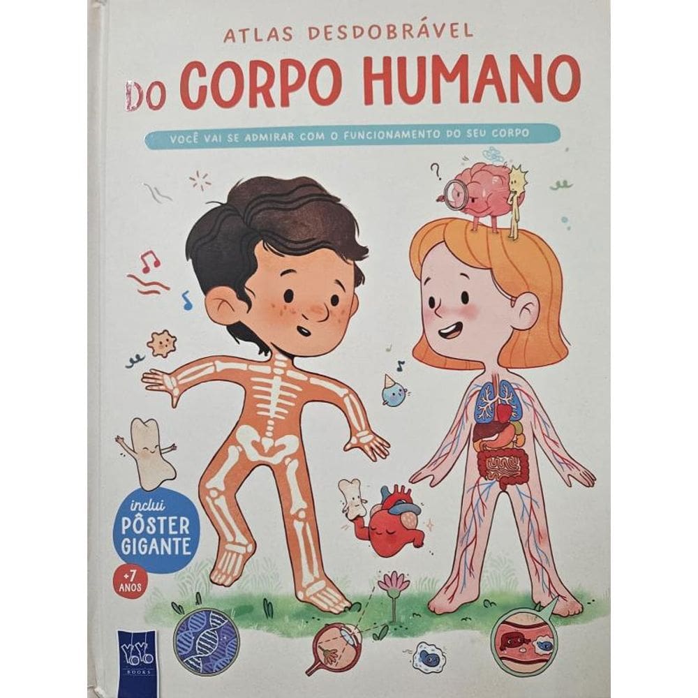 Atlas desdobrável do corpo humano