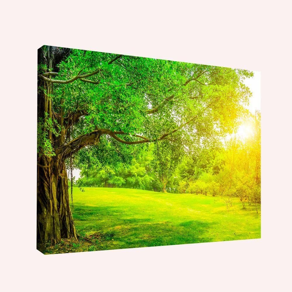 Quadro Natureza Bela -- Br Artes