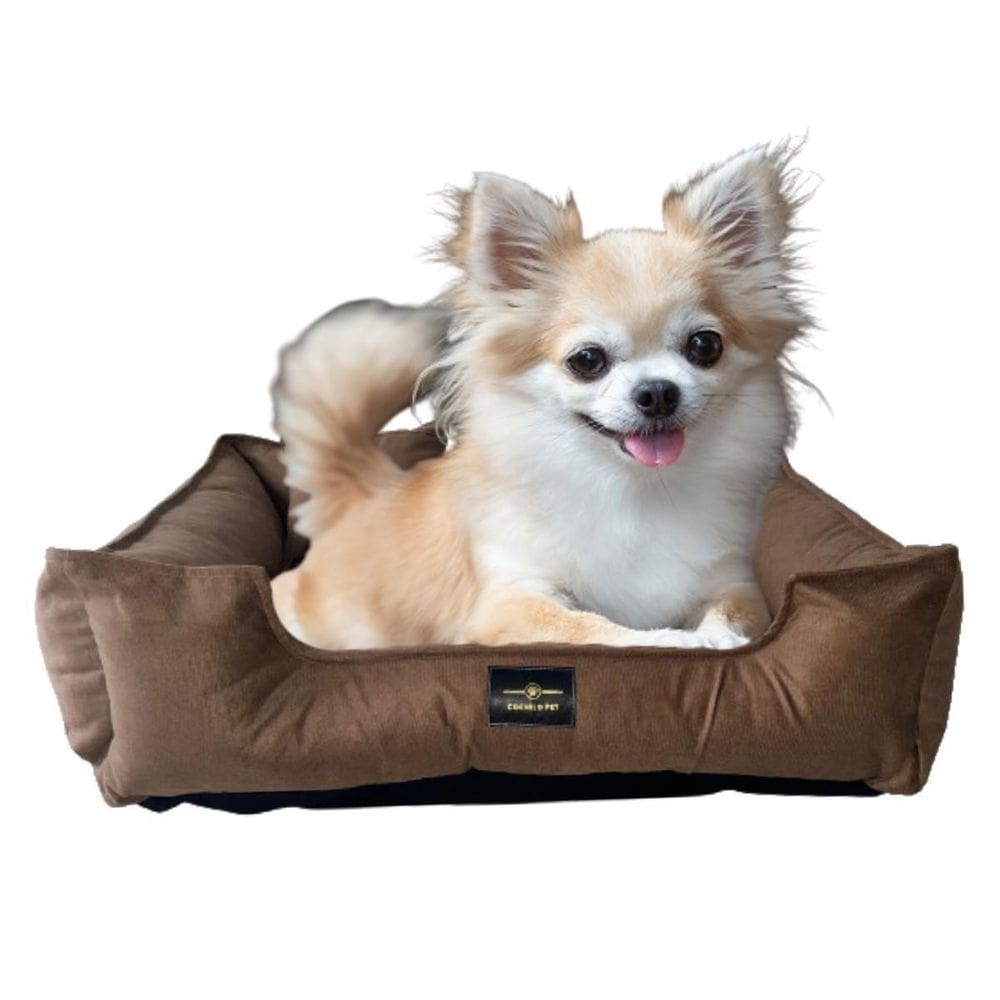 Caminha Para Cachorro Gato Pet Veludo P 50 X 40 Cm Marrom