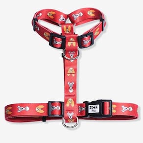 Peitoral Cachorro Zc Pets A Dama E O Vagabundo - Disney M