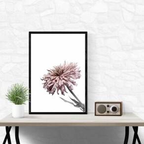 Quadro Foto Flor Moderna Rosa 24X18Cm - Com Vidro