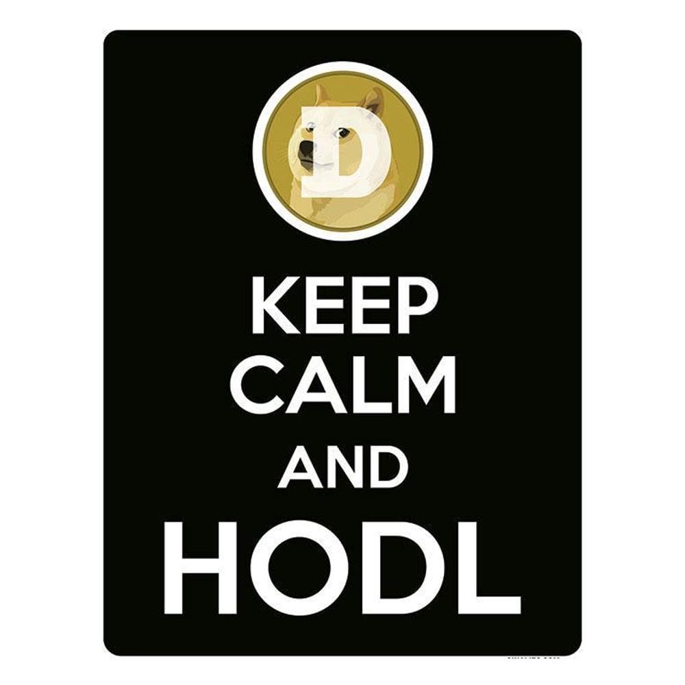 Placa Decoraçao - Keep Calm Hodl Hold Dogecoin Doge 36X46