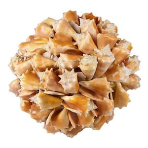 Bola De Conchas Centro De Mesa Decoração Artesanal 23Cm