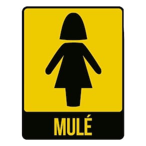 Placa Sinalização Banheiro Feminino Mulé 36X46