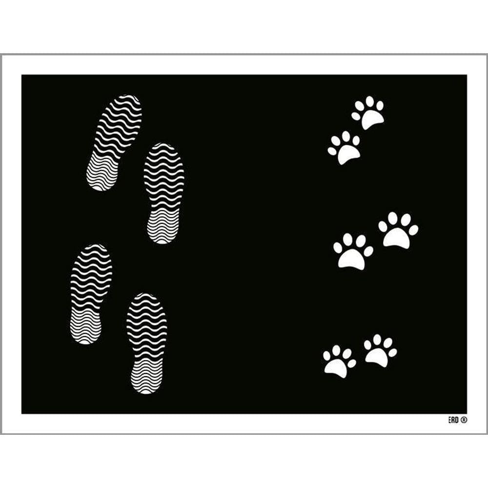 Kit 3 Placas Decorativa - Pegadas E Patinhas