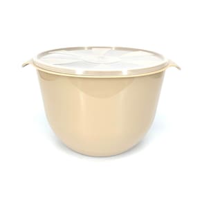 Bacia com Tampa Inplast 9L - Tam. G