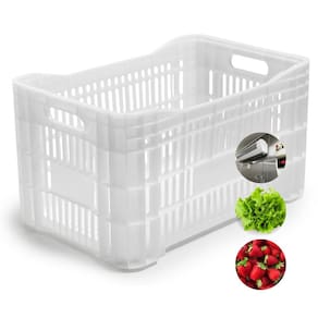 Kit Com 3 Contentor 46 Litros Caixa Plástica Vazada Camara Fria - CN 60 Pisani