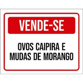 Kit 3 Placas Vende-Se Ovos Caipira Mudas Morango