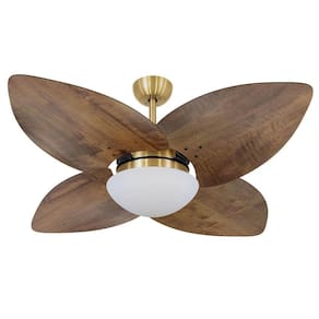 Ventilador De Teto Vd42 Dunamis Dourado Rádica Imbuia 110V