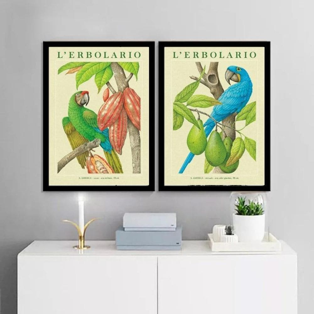Kit 2 Quadros Botânicos Araras Tropicais 45X34Cm - Com Vidro