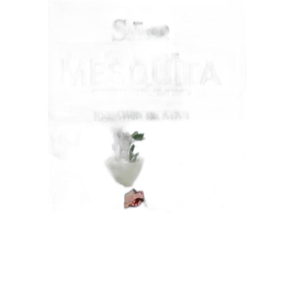 Apostila Câmara Municipal Mesquita Rj - Redator De Atas