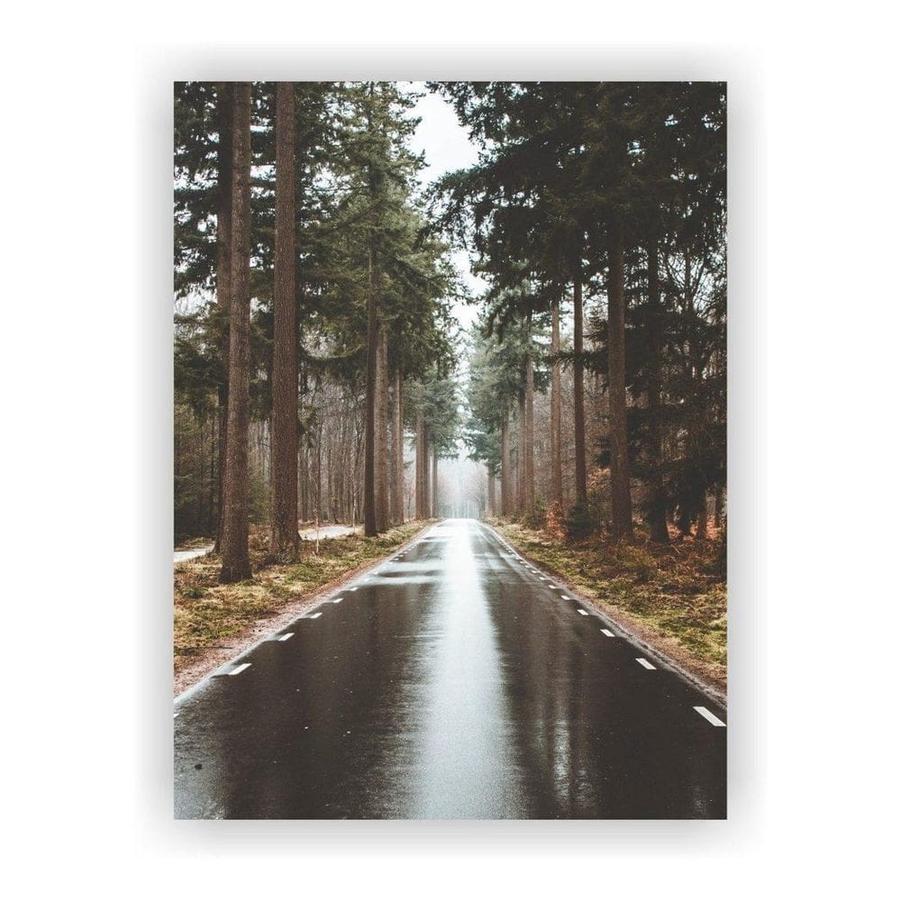 Quadro Decorativo Paisagens Variadas Sem Moldura Modelo 12
