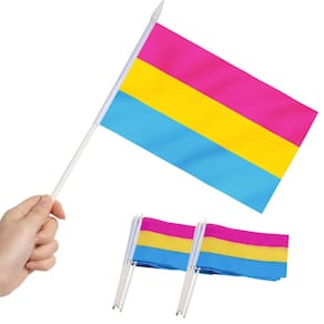 Mini Flag Anley Pansexual Pride, pacote com 12, 13 x 21 cm com bastão