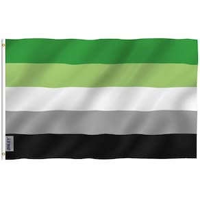 Bandeira Anley Aromantic Pride de poliéster 90x150cm com ilhós