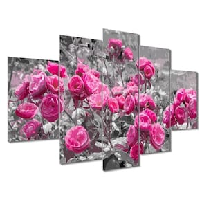 Kit 5 Placa Quadro Flores Vermelha Titulos Rosas Rosadas