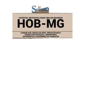 Apostila Hob Mg - Comum Aos Cargos De Nível Médio E Técnico