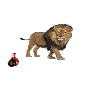 Papel De Parede 3D Animais Leão Andando Preto 3,5M Anm479