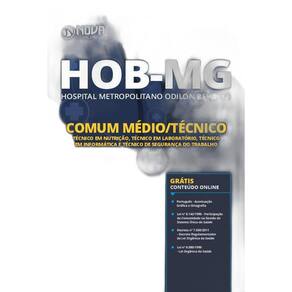 Apostila Concurso Hob Mg - Cargos De Nível Médio Técnico