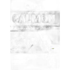 Apostila Prefeitura Calmon Sc - Auxiliar Administrativo