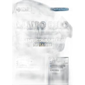 Apostila Campo Belo - Mg 2019 - Agente Comunitário De Saúde