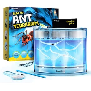 Kit de terrário Ant Farm Dan & Darci Light-up com LED para crianças