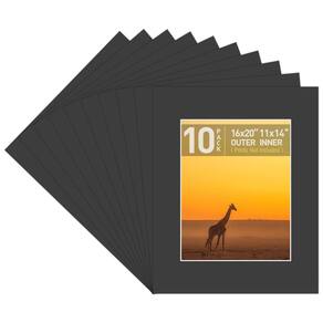 Tapetes fotográficos Golden State Art Classic Black 16x20 cm, pacote com