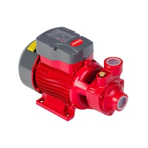 Bomba Periférica 01CV 220V Branco BB 1000 P