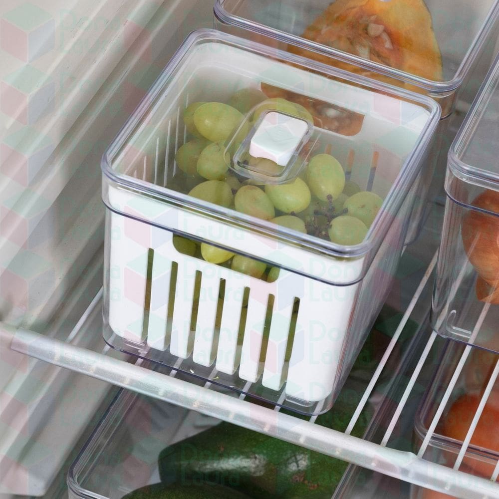 Organizador com Tampa Transparente e Cesta Verduras 1 Uni