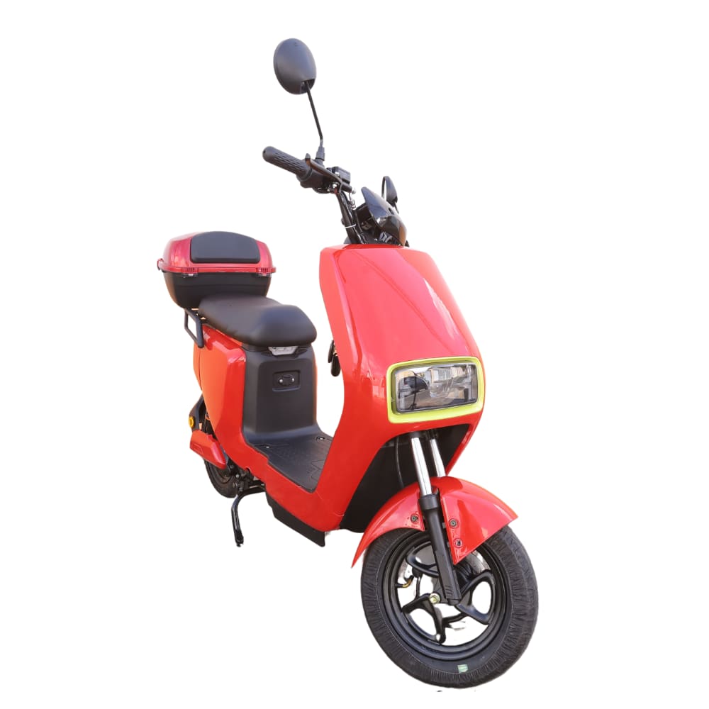 Bicicleta Elétrica Wasp 800w S/ Pedal Sem Cnh Moto Scooter