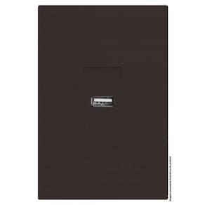 Kit Entrada Usb 2.A Vertical 4X2 Brs12326-9Ch